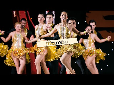 Video: bitividi